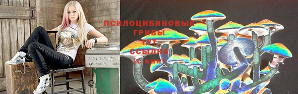 скорость Белокуриха