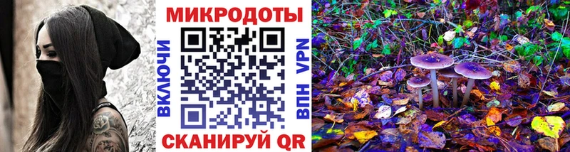Купить где  Мурино  Псилоцибиновые грибы MAGIC MUSHROOMS 