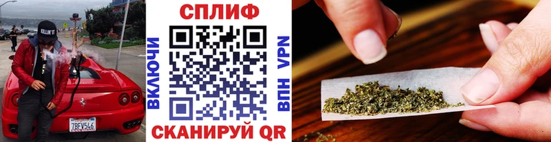 Купить закладки  Мурино  Бошки марихуана Ganja 